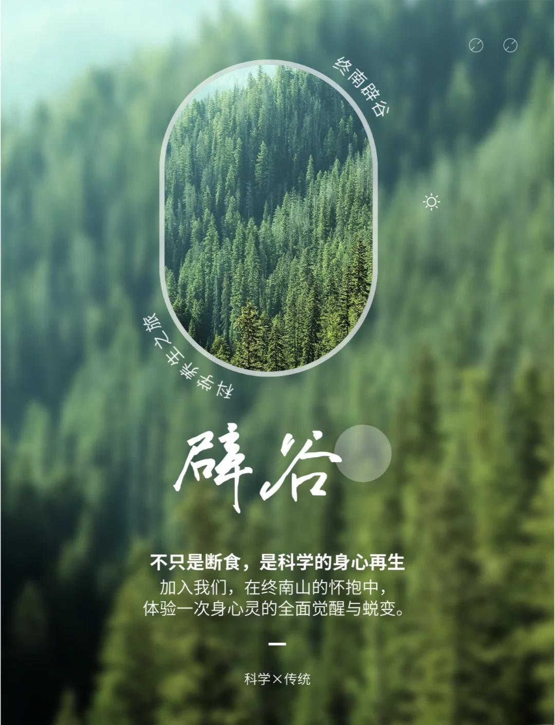 2026年科学解读：辟谷真的能带来健康奇迹吗？